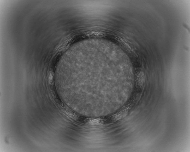 X0000097950709200804141003