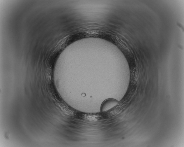 X0000097950710200804141003