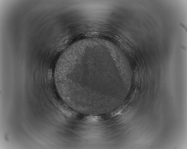 X0000097950711200804141003
