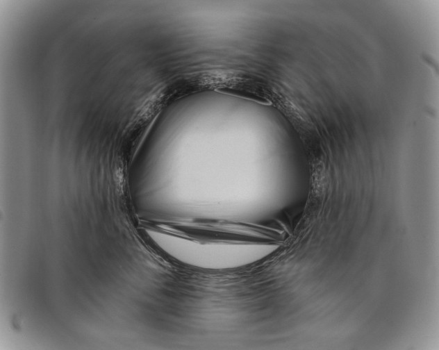 X0000097950716200804141003