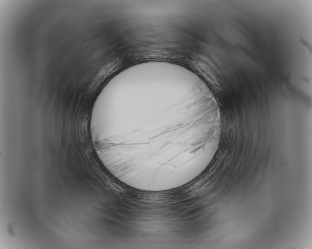 X0000097950717200804141003