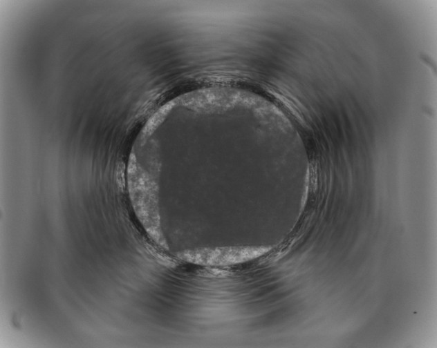 X0000097950718200804141003