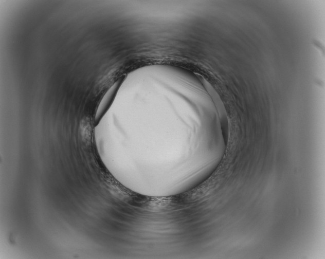X0000097950720200804141003