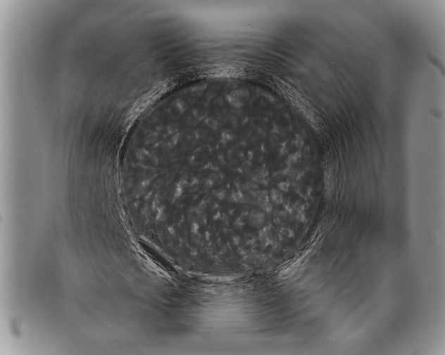 X0000097950721200804141002