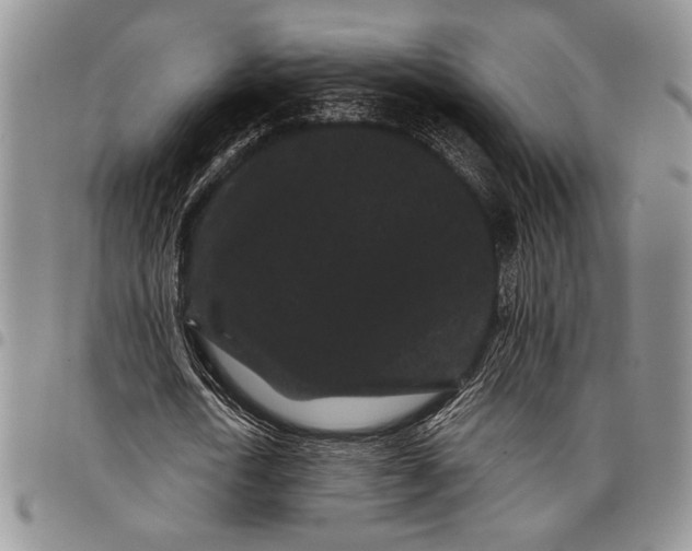 X0000097950722200804141002