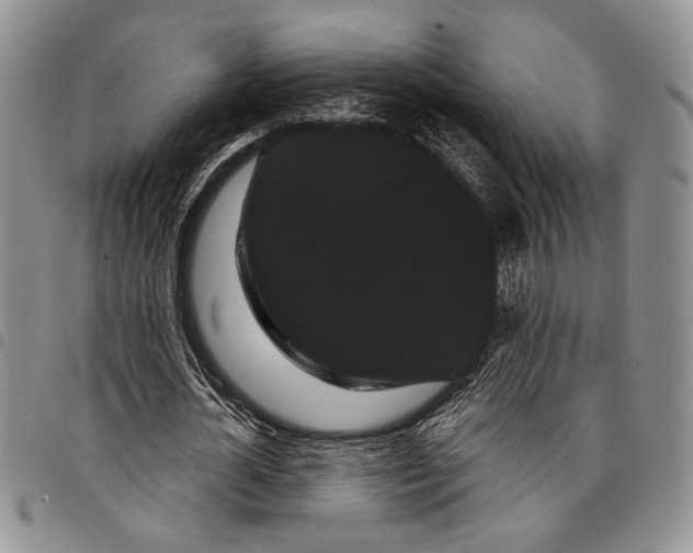 X0000097950724200804141002