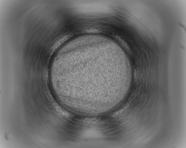 X0000097950725200804141002