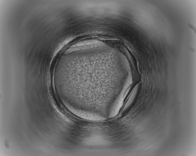 X0000097950726200804141002