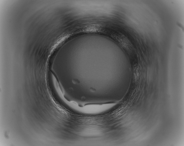 X0000097950728200804141002