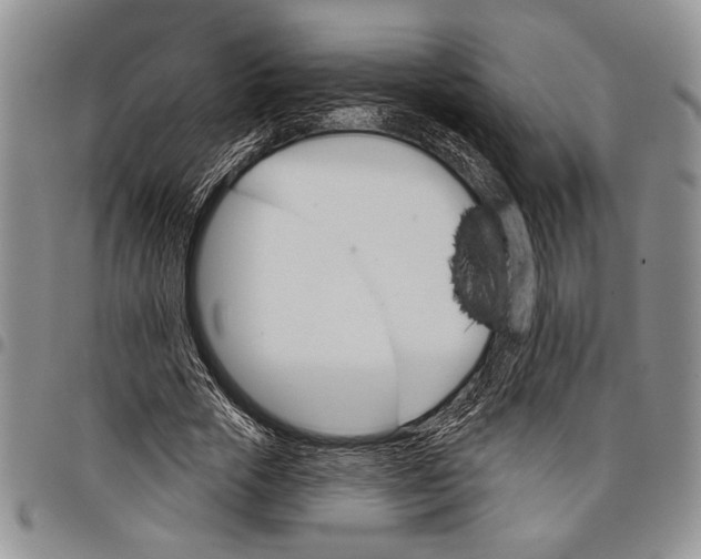 X0000097950729200804141002