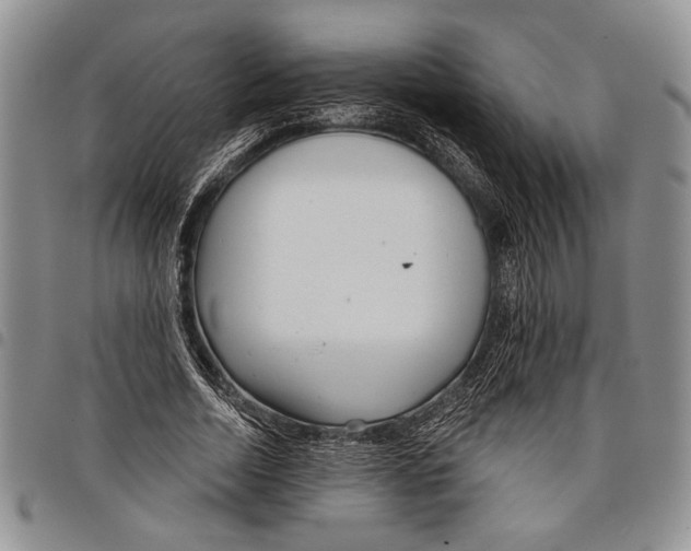 X0000097950730200804141002