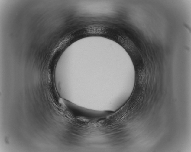 X0000097950731200804141002