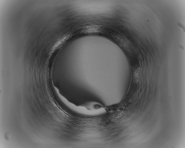 X0000097950732200804141002