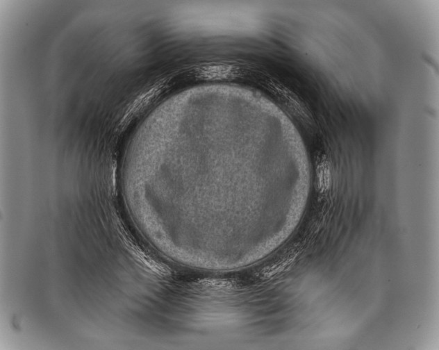 X0000097950733200804141002