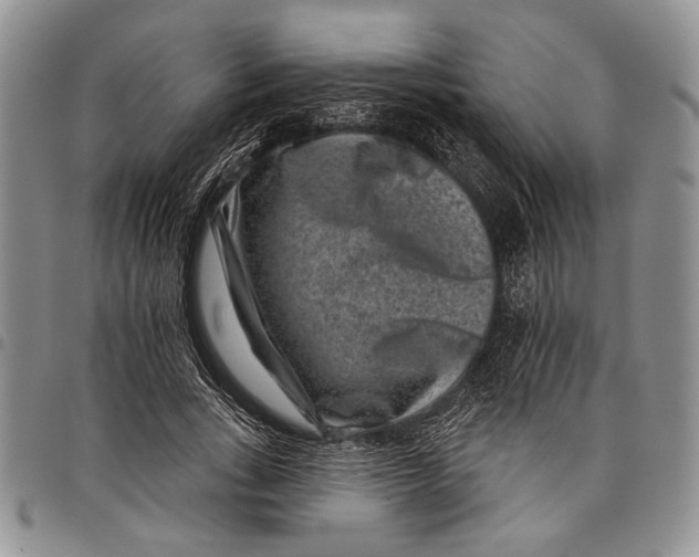 X0000097950735200804141002