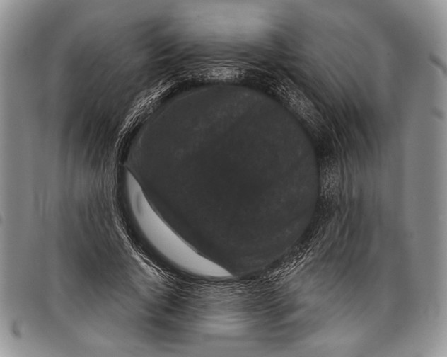 X0000097950736200804141003