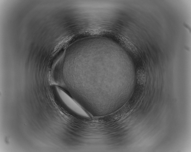 X0000097950740200804141003