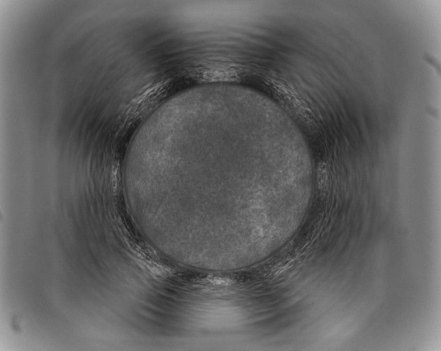 X0000097950741200804141003