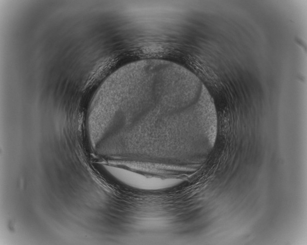 X0000097950742200804141003
