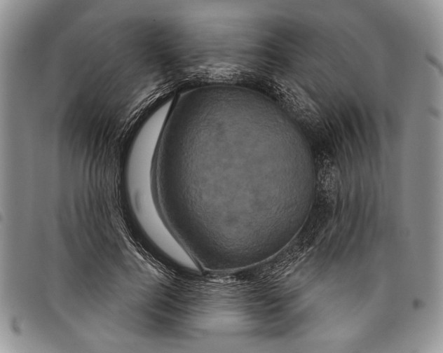 X0000097950744200804141003