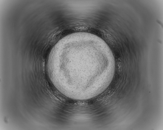 X0000097950745200804141003