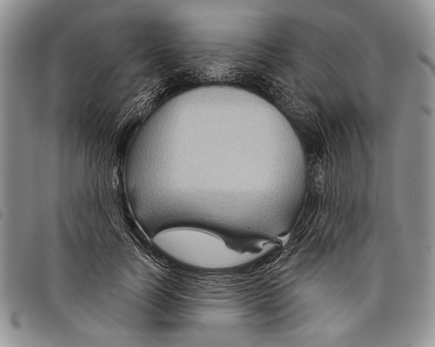 X0000097950746200804141003