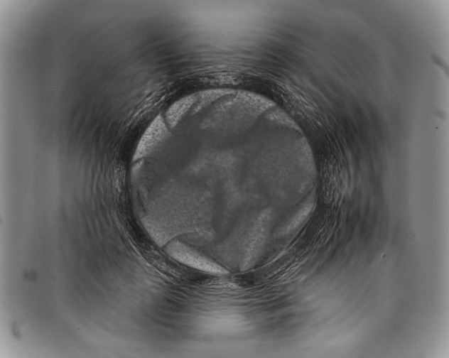 X0000097950747200804141003