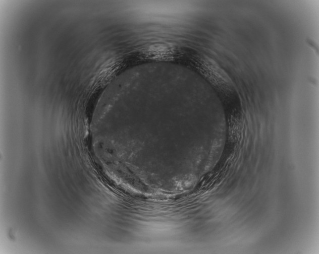 X0000097950748200804141003