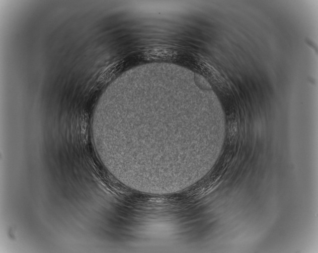 X0000097950749200804141003