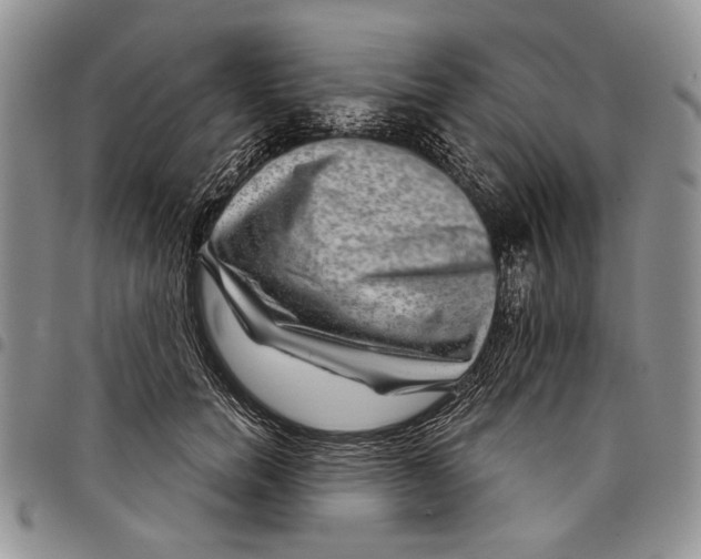 X0000097950750200804141003