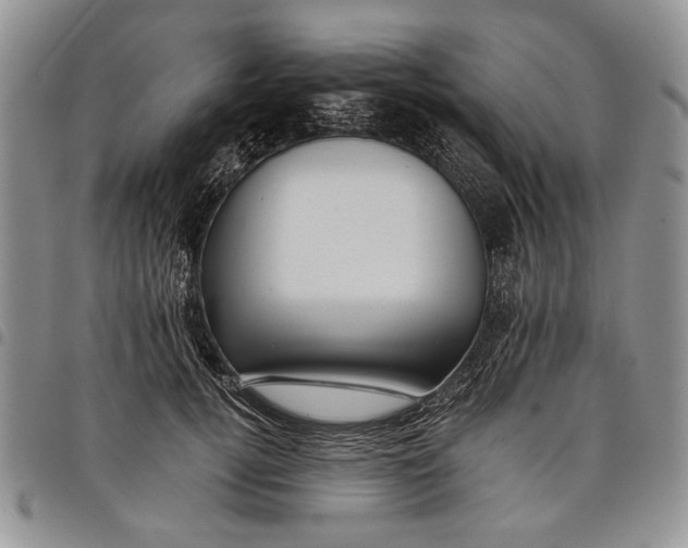 X0000097950752200804141003