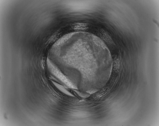 X0000097950755200804141003
