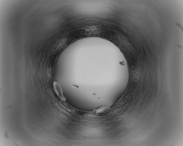 X0000097950756200804141003