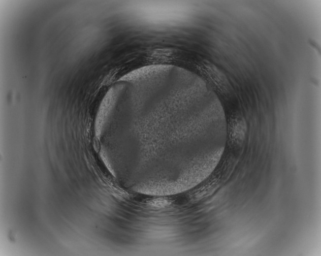 X0000097950759200804141003