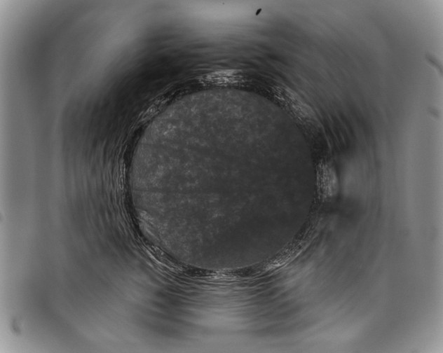 X0000097950760200804141003