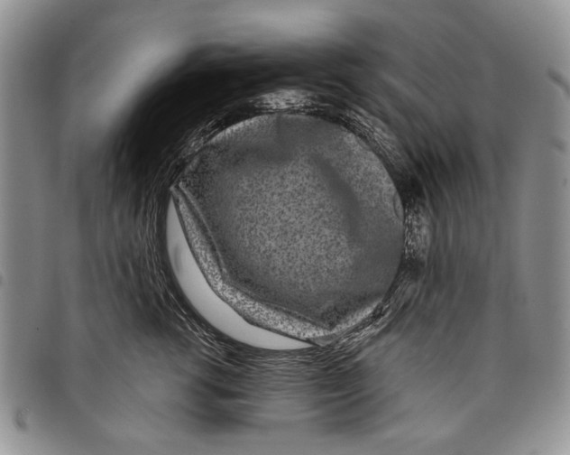 X0000097950762200804141003