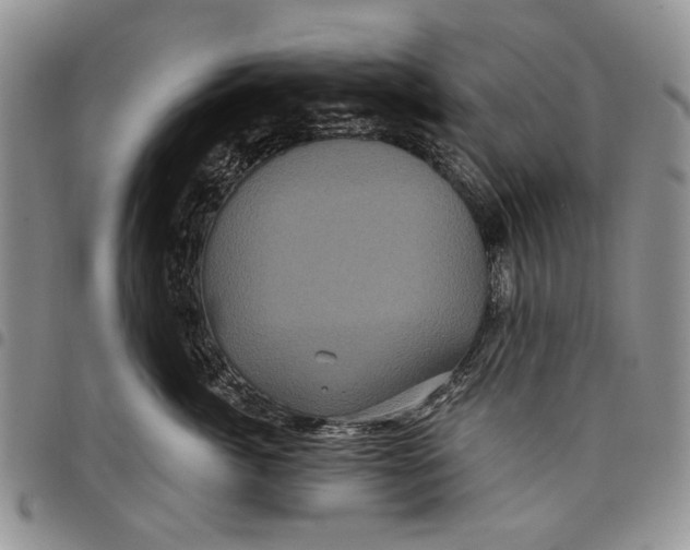 X0000097950764200804141003