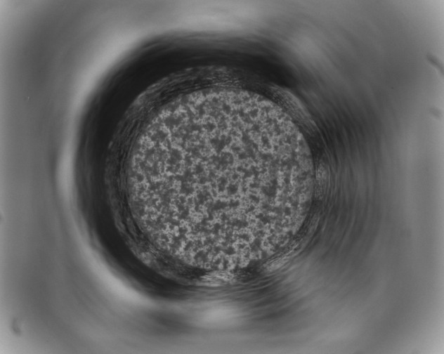 X0000097950765200804141003
