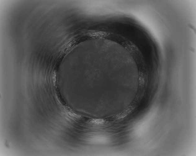 X0000097950767200804141003