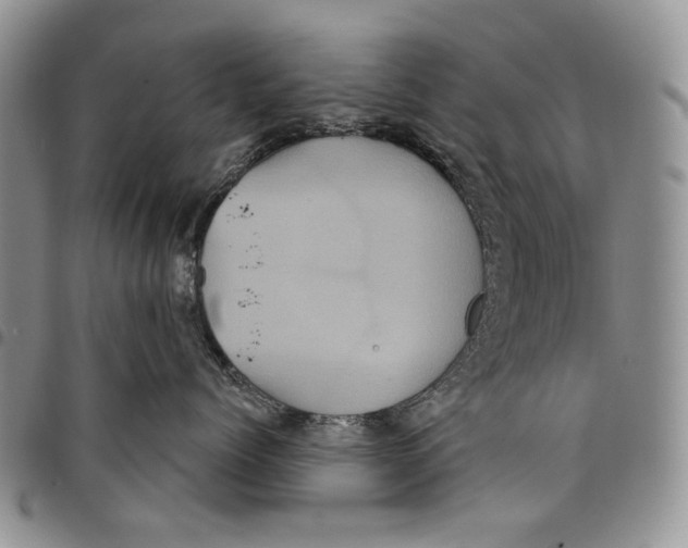 X0000097950768200804141003