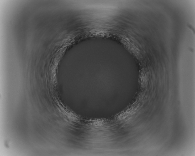 X0000097950769200804141002