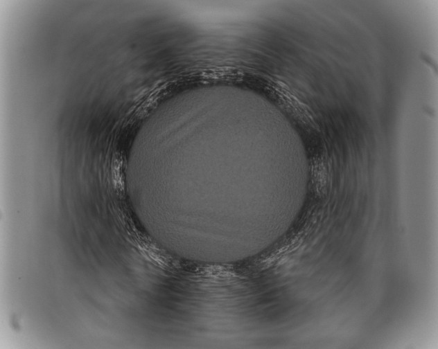 X0000097950770200804141002