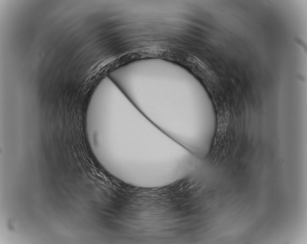 X0000097950773200804141002