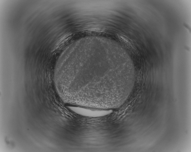 X0000097950774200804141002