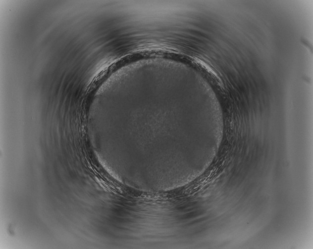 X0000097950775200804141002