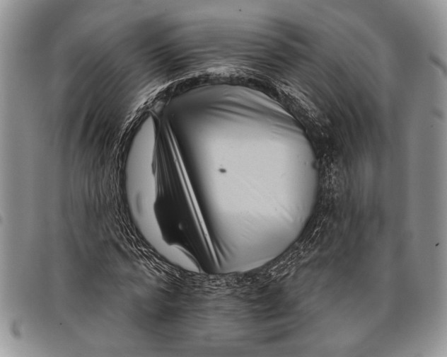 X0000097950776200804141002