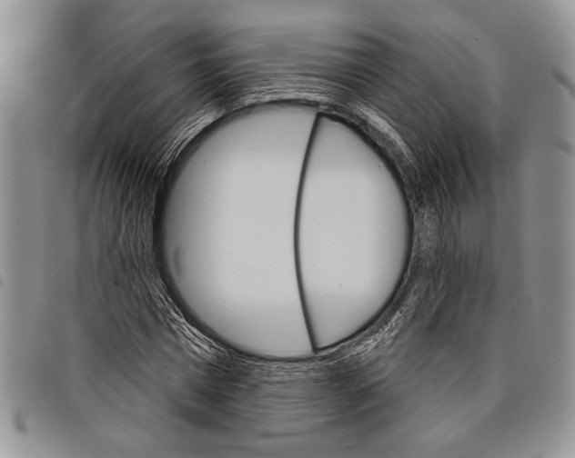 X0000097950777200804141002