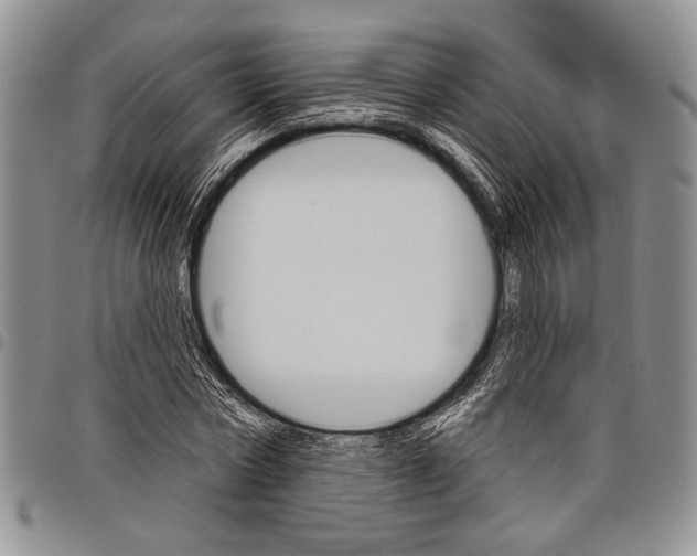 X0000097950778200804141002