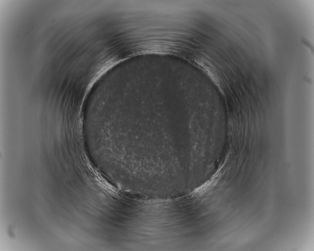 X0000097950779200804141002