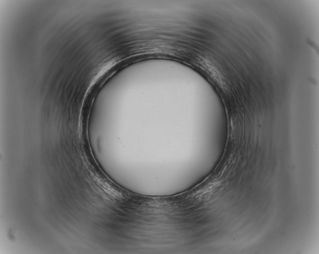 X0000097950780200804141002